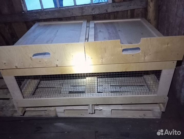 Гнездо с яйцесборником