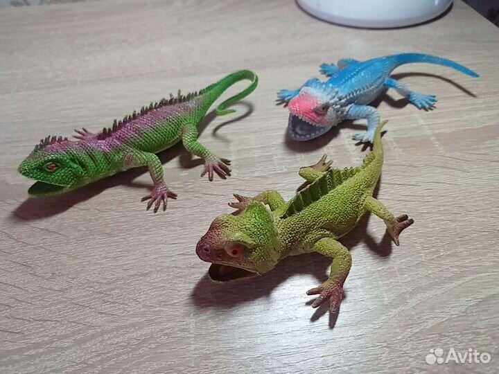 Животные
