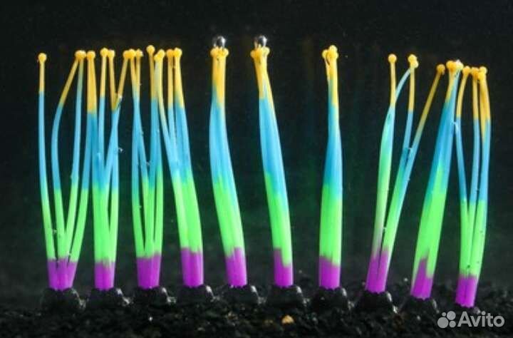 Декор для аквариума силиконовый, светящийся. Новый