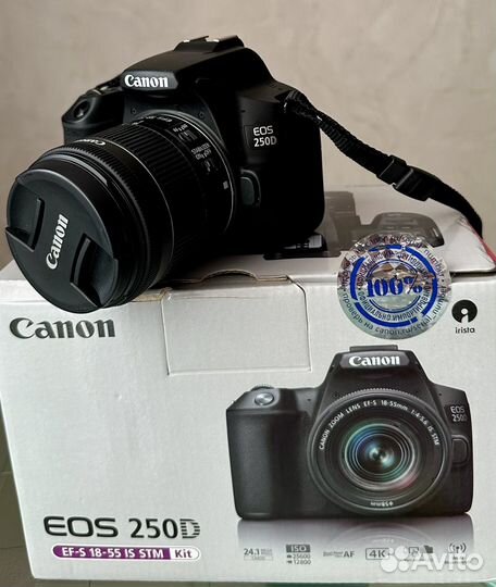Зеркальный фотоаппарат canon eos 250D