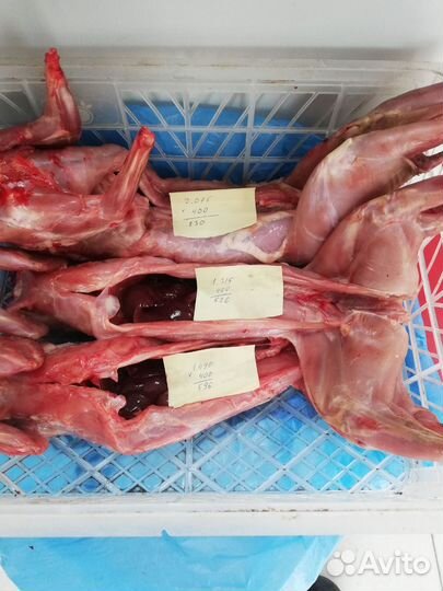 Мясо кролика