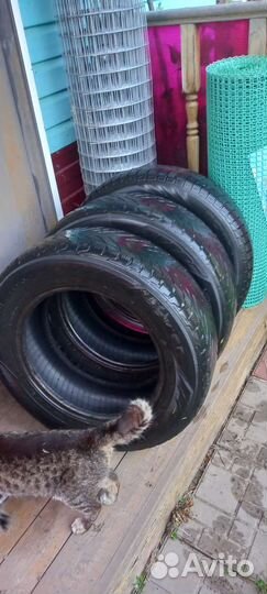 Nokian Tyres Hakkapeliitta R2 195/65 R15