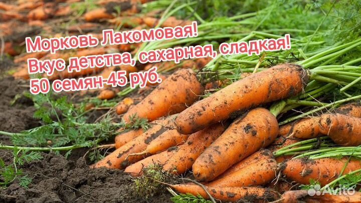 Семена овощей