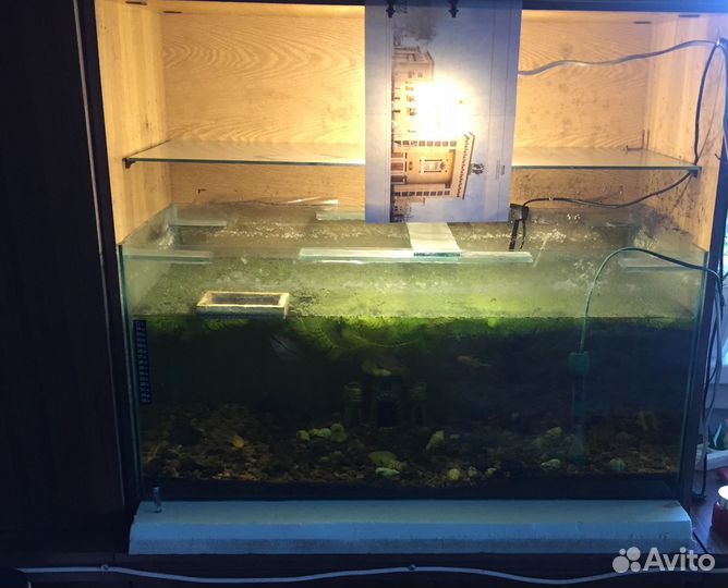 Аквариум