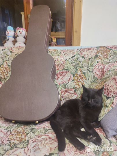 Классическая гитара Fender ESC80 с кофром