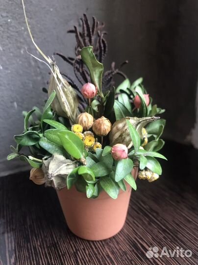 Букет из сухоцветов в кашпо