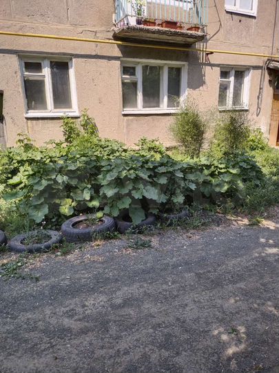 2-к. квартира, 44 м², 1/2 эт.