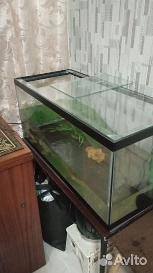 Террариум с черепахой