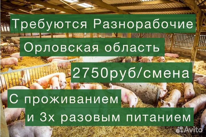 Вахта с проживанием и питанием. Ферма в Орле