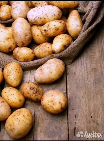 Продукты питания