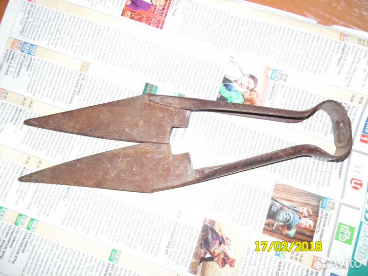 Ножницы для стрижки,стальныекольядля привязи скота