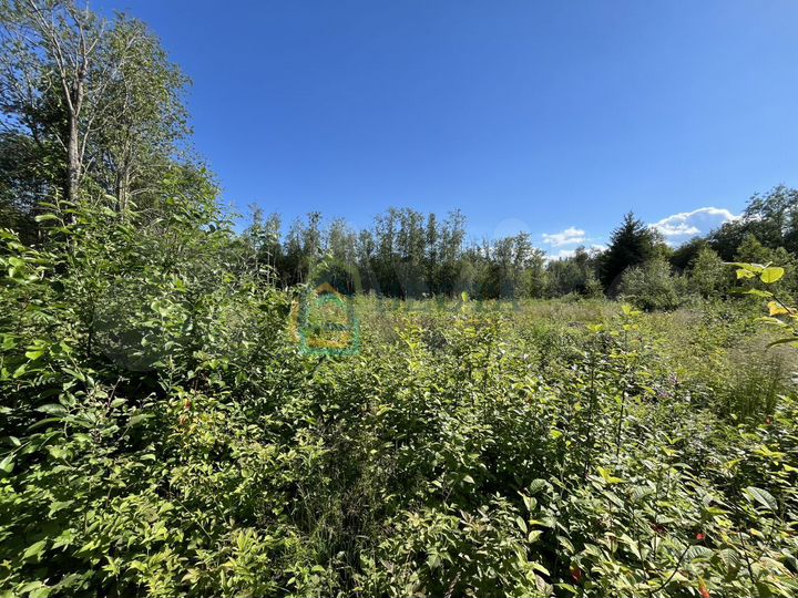 Участок 26 сот. (ИЖС)