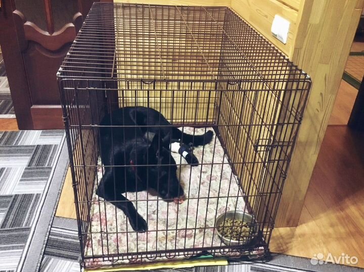 Клетка для собак
