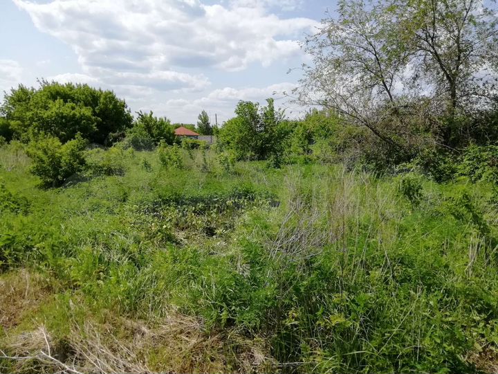 Участок 30 сот. (ИЖС)