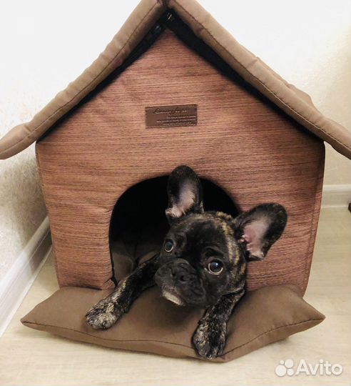 Домик для собаки или кошки