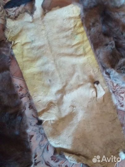 Шкурка (шкура нутрия, норка, суслик)