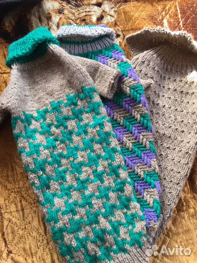 Одежда для собак