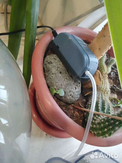 Воздух для аквариума