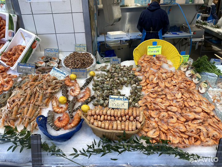 Тур во Францию, Диснейленд, Париж, Нормандию,Замки