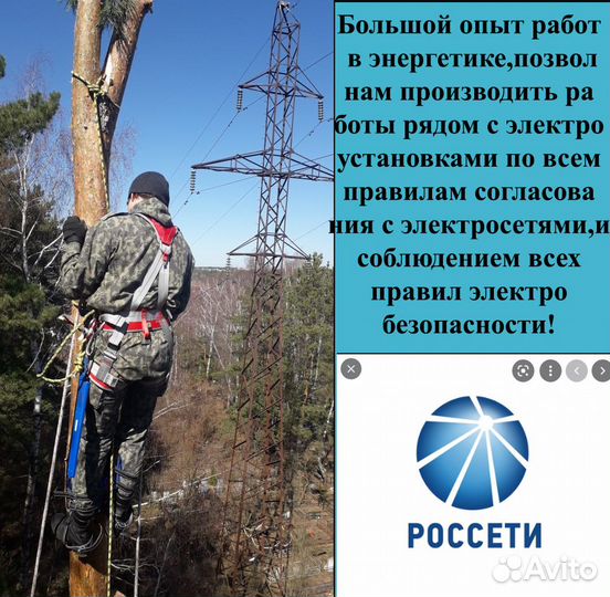 Спил деревьев,санитарная обрезка,кронирование