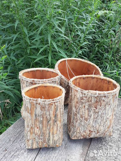 Кузова из коры вяза