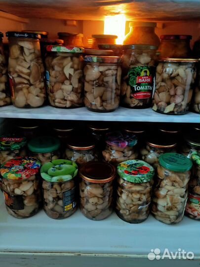 Грибы маслята маринованные