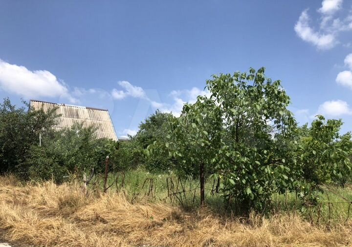 Участок 4 сот. (СНТ, ДНП)