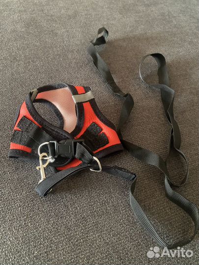 Шлейка с поводком для маленьких собак