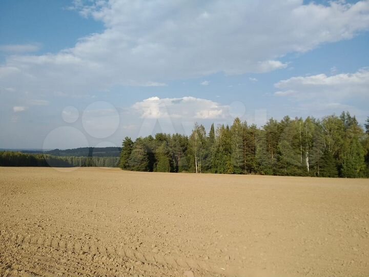 Участок 6 га (СНТ, ДНП)