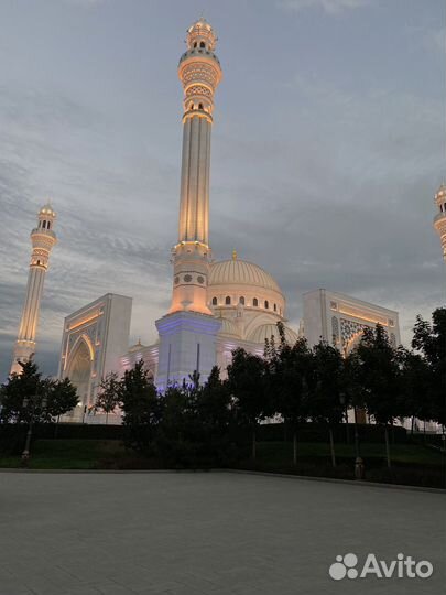 Водитель туры по Дагестану