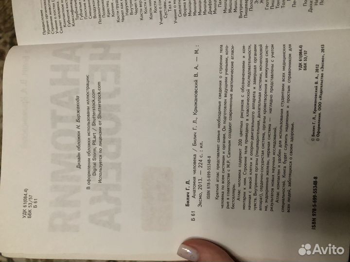 Анатомия человека