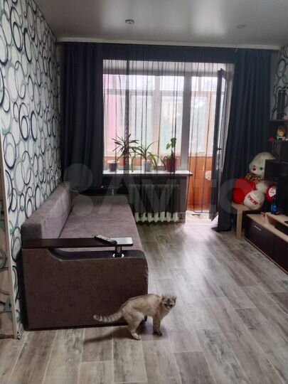 1-к. квартира, 30,6 м², 2/5 эт.