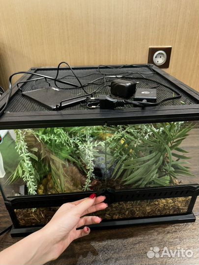 Террариум для змеи Хабитат