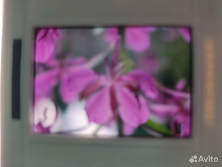 Слайды с природой и достопримечательностями