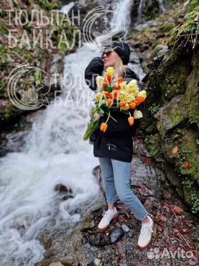 Королевские тюльпаны