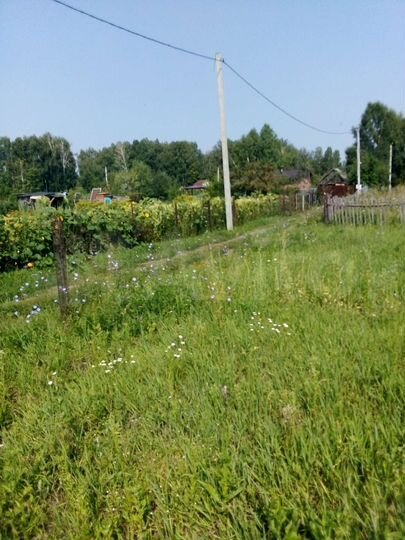 Участок 6,1 сот. (ИЖС)