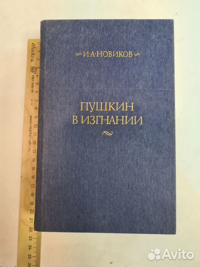 Пушкин в изгнании. Новиков Иван Алексеевич