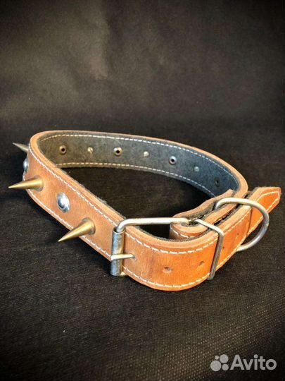 Строгий ошейник, намордник крупным собакам