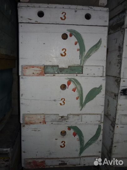 Ульи для пчел системы рута