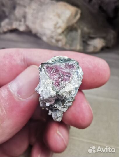 Турмалин арбузный 13гр. Кристалл