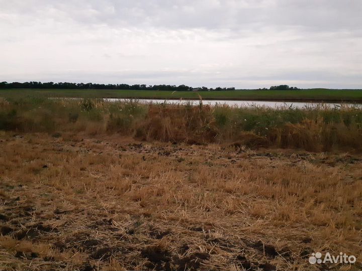 Засидка скрадок Мания Кругозор