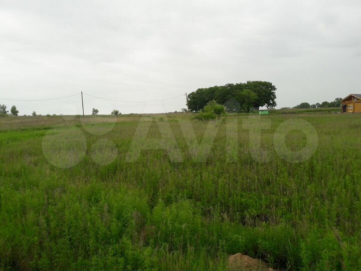 Участок 4,59 га (ИЖС)