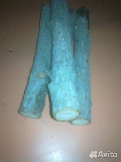 Веточки, палки для грызунов