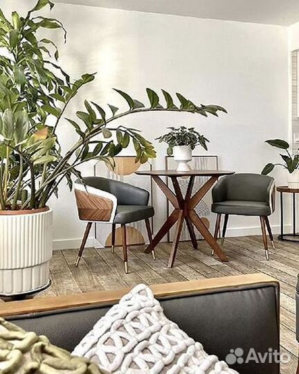 Стул мягкий. Стулья мягкие