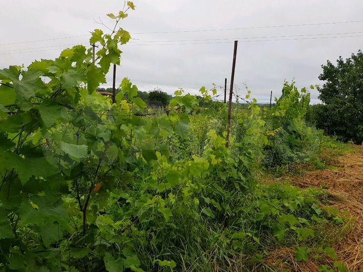 Дом 115 м² на участке 15 сот.