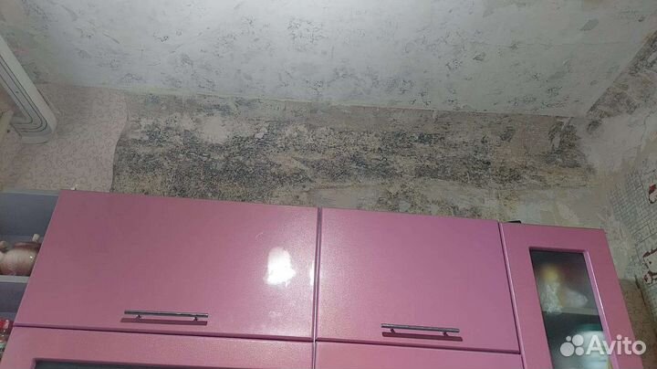 Уничтожение : тараканов, клопов, муравьев. Короеда