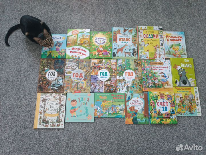 Детские книги и виммельбухи