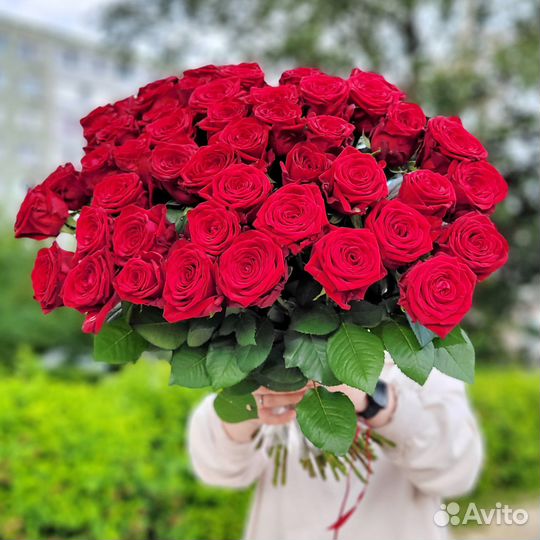 Метровые розы, букеты, цветы, Розы 51 101 501 1001