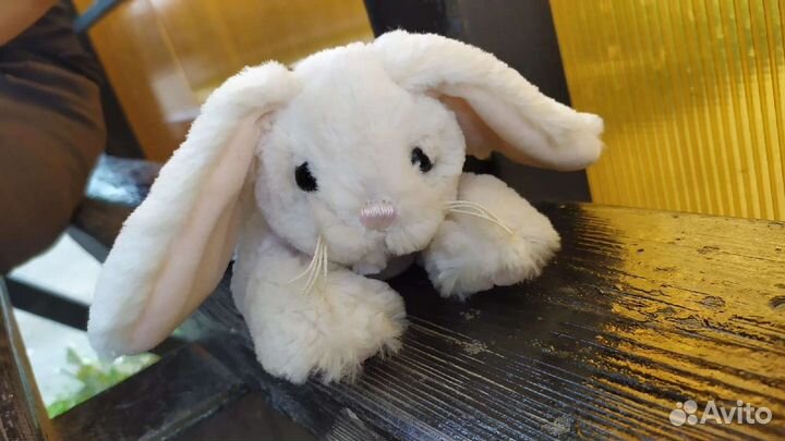 Кролик и собака