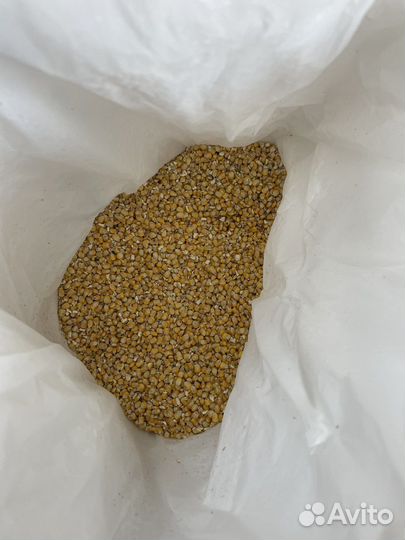 Продам комбикорма, зерно